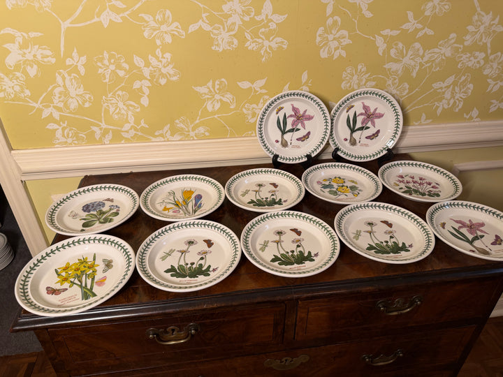 12 Portmeirion Botanic Garden Dinner Plates