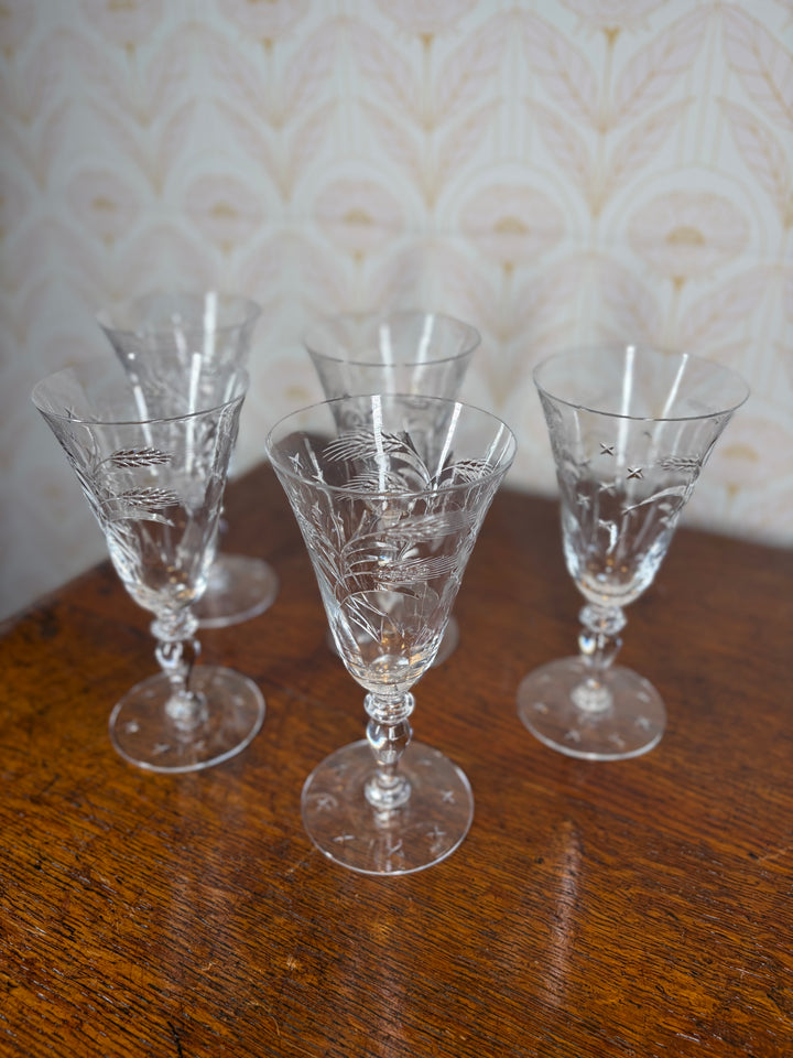 Set of 5 Glasses