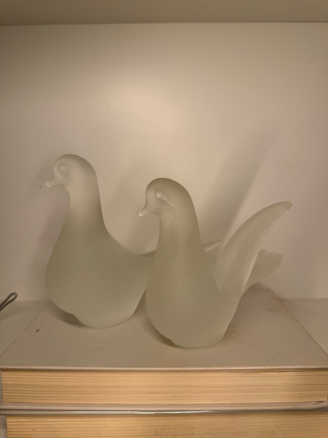 Quidio  Dove of Peace Birds