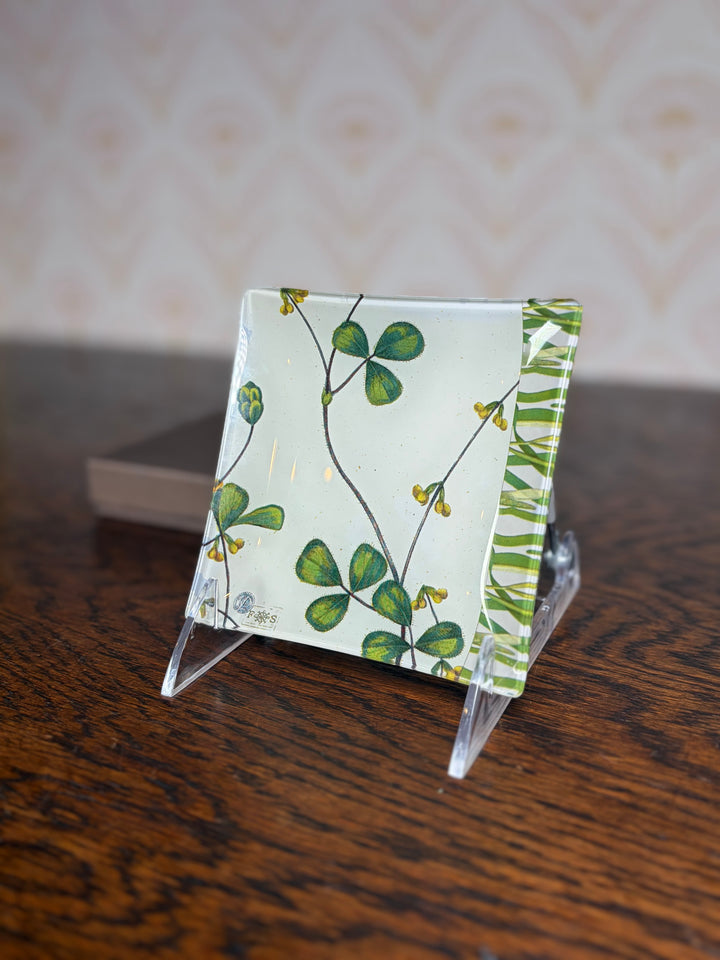 Fringe Studio Ring Dish with Box