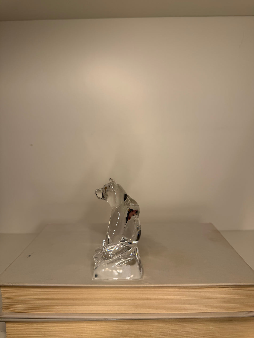 Hadeland  of Norway Bear