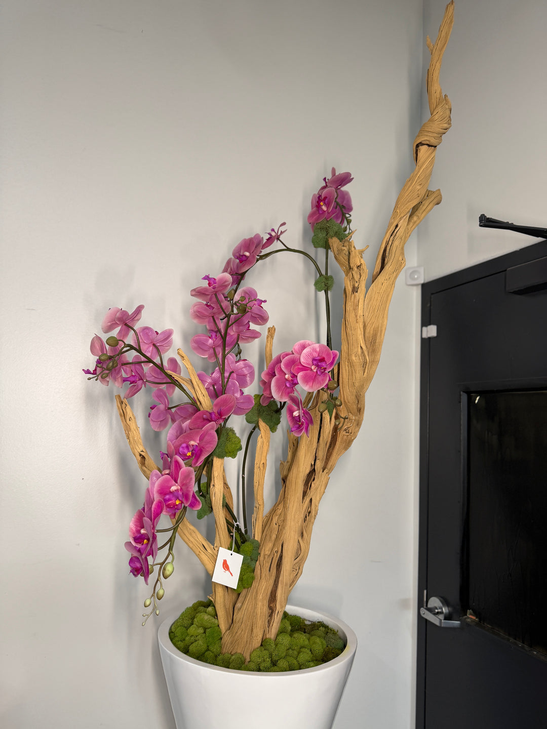 Botanical Mix Floor Orchid