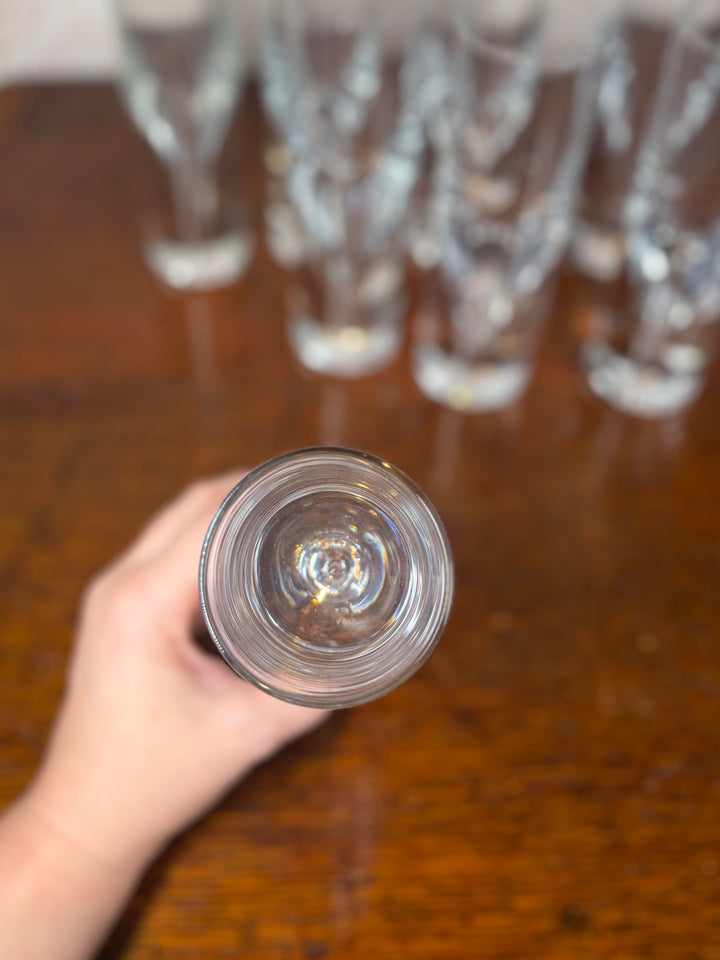 Set of 8 Unmarked Water Glasses