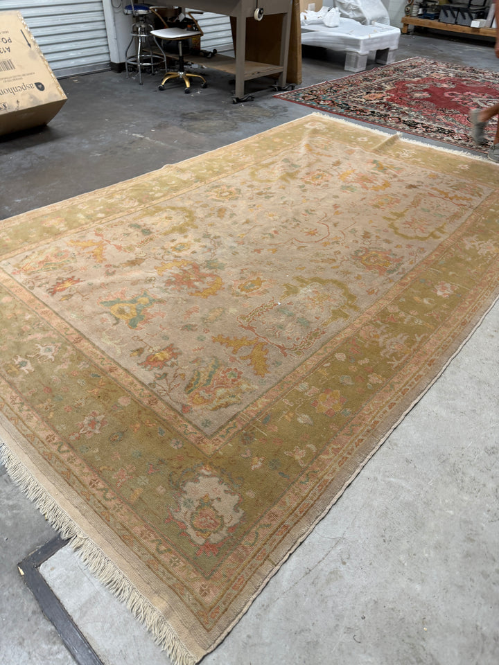Light Area Rug.