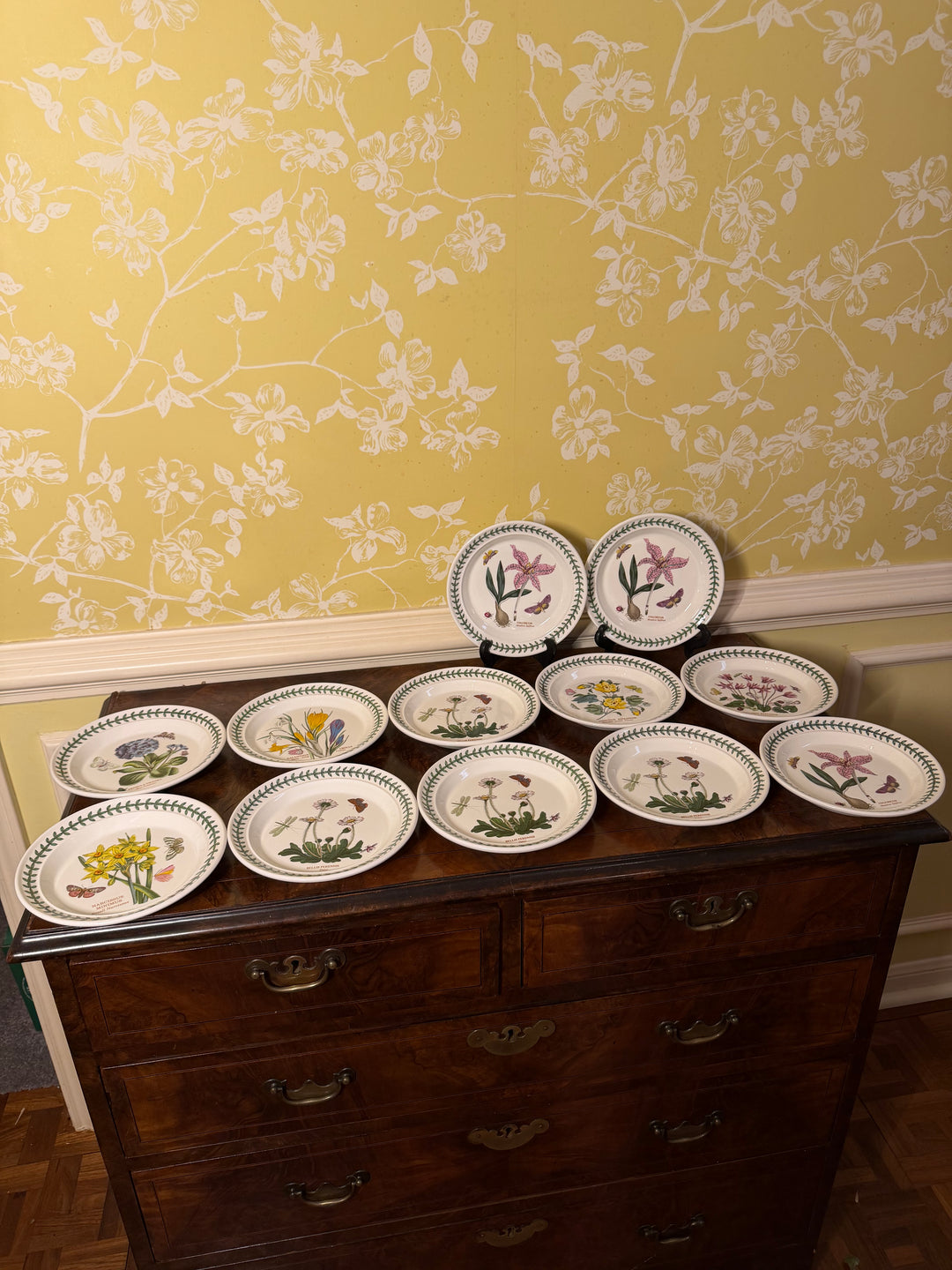 12 Portmeirion Botanic Garden Dinner Plates