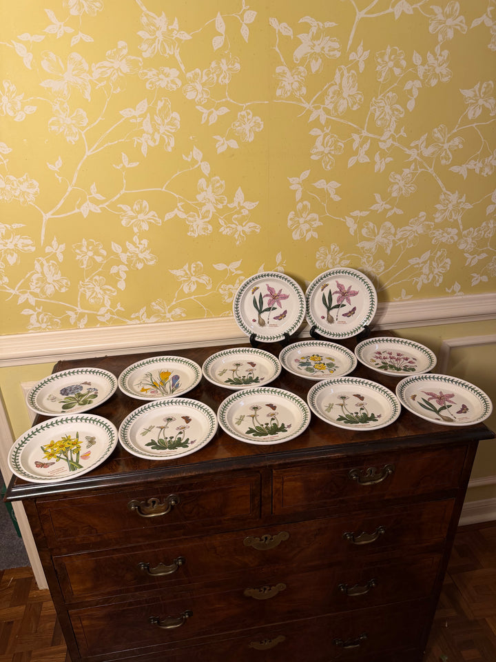 12 Portmeirion Botanic Garden Dinner Plates