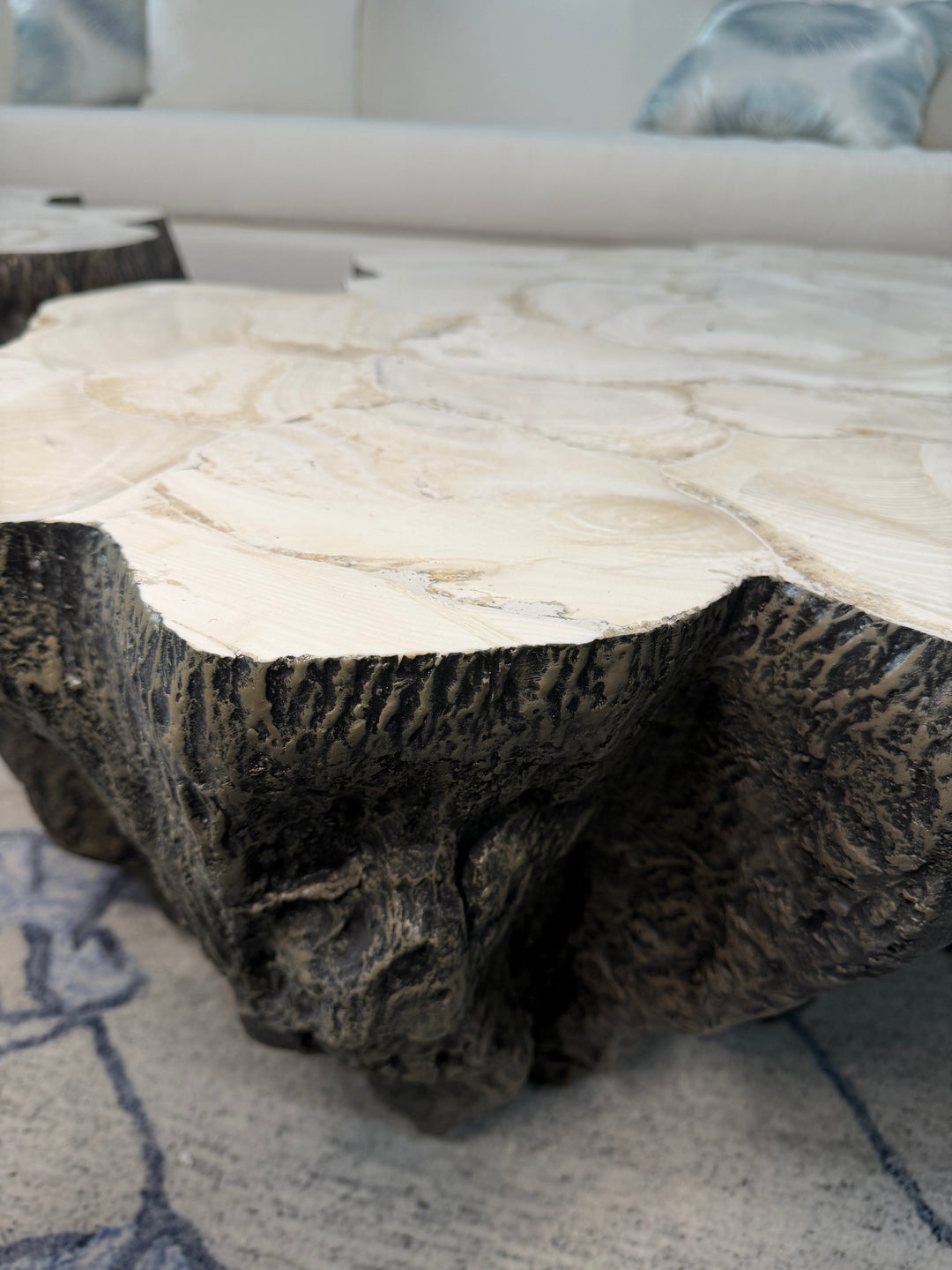Fossilized Coffee Table