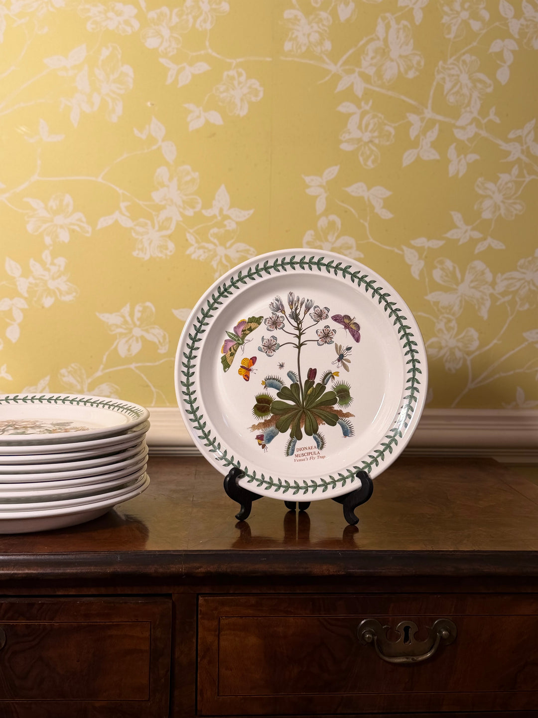 12 Portmeirion Botanic Garden Dessert Plates