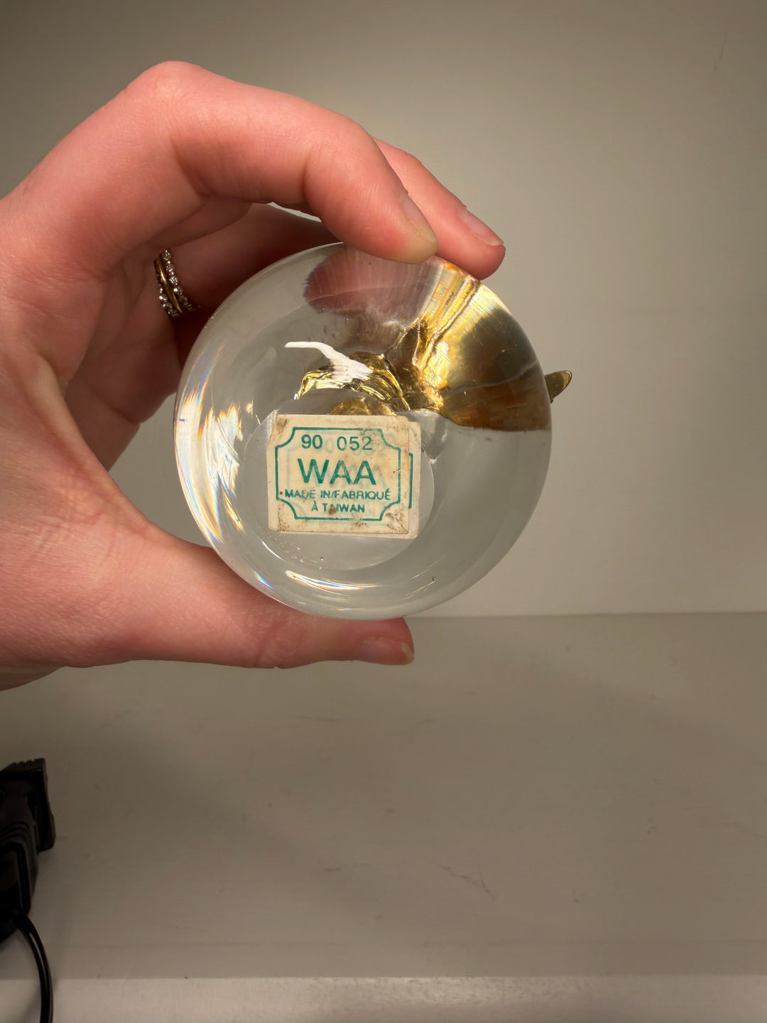 Brass and Glass Apple Paper Weight