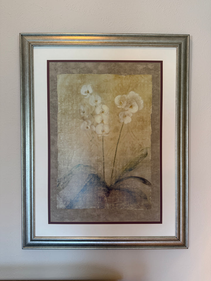 Framed Orchid Botanical Print — Silver Frame