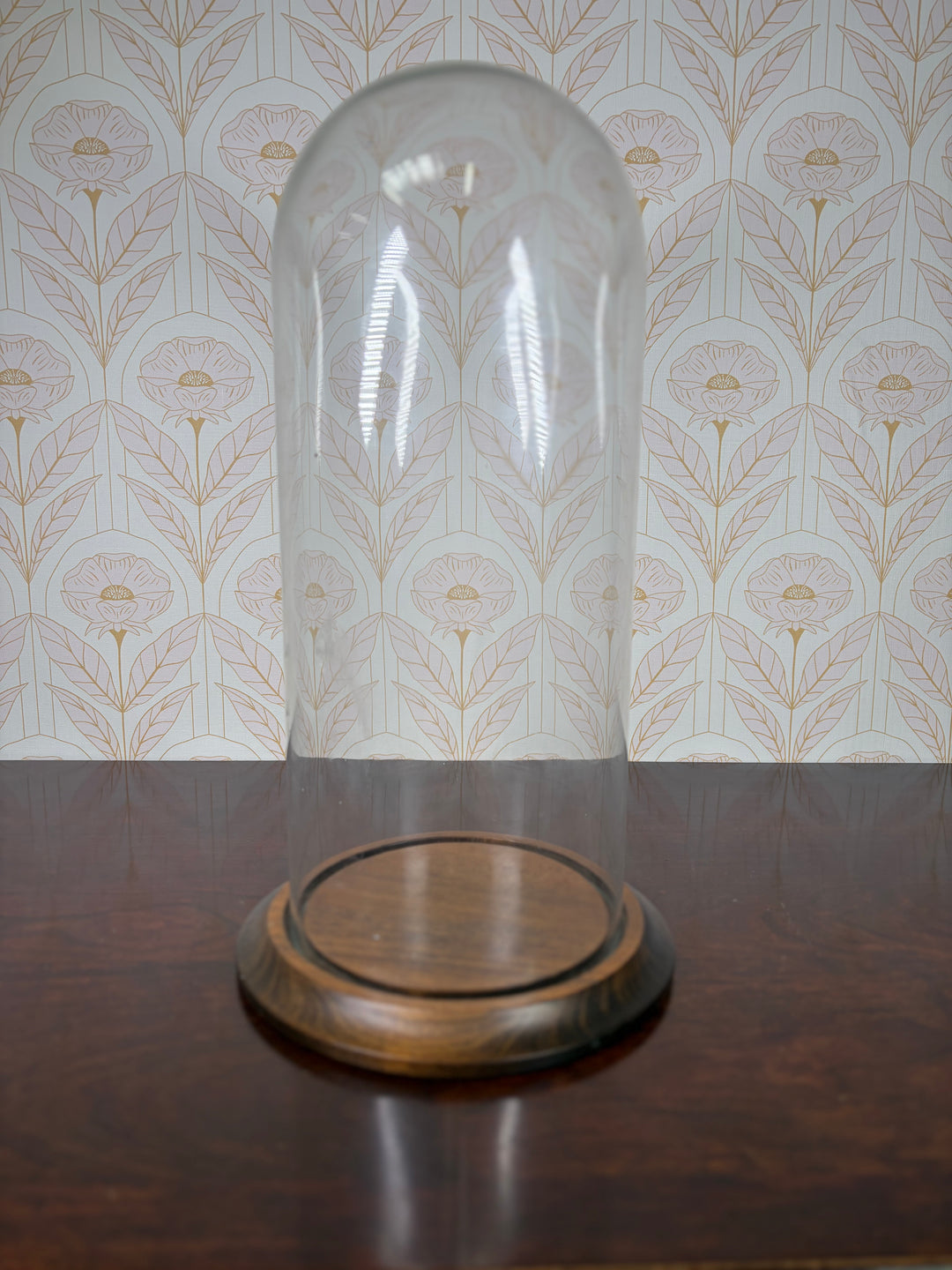 Antique Display Case