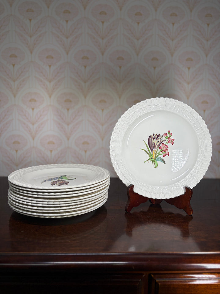 Copeland Spode Plates - Set of 12