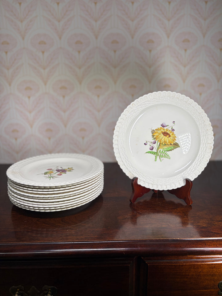 Copeland Spode Plates - Set of 12