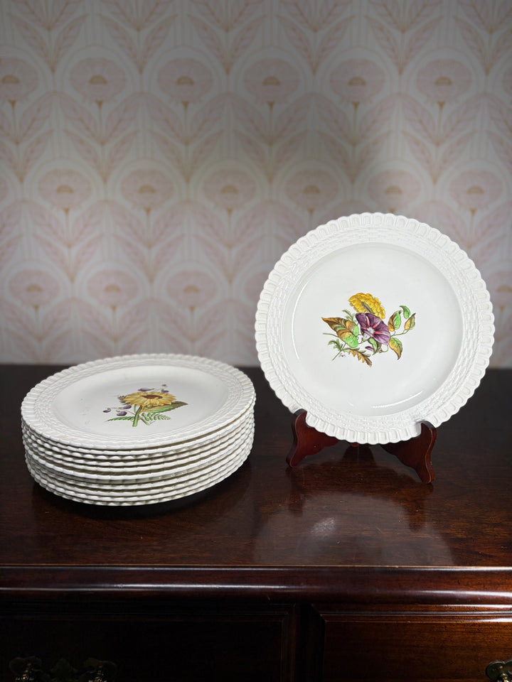 Copeland Spode Plates - Set of 12