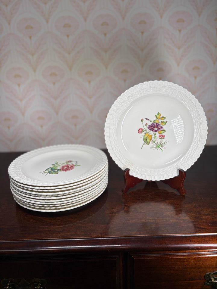 Copeland Spode Plates - Set of 12