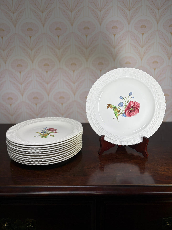 Copeland Spode Plates - Set of 12