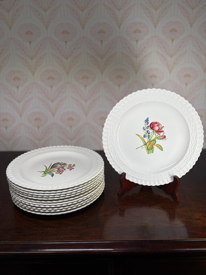 Copeland Spode Plates - Set of 12