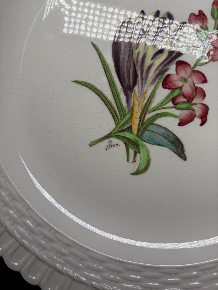 Copeland Spode Plates - Set of 12