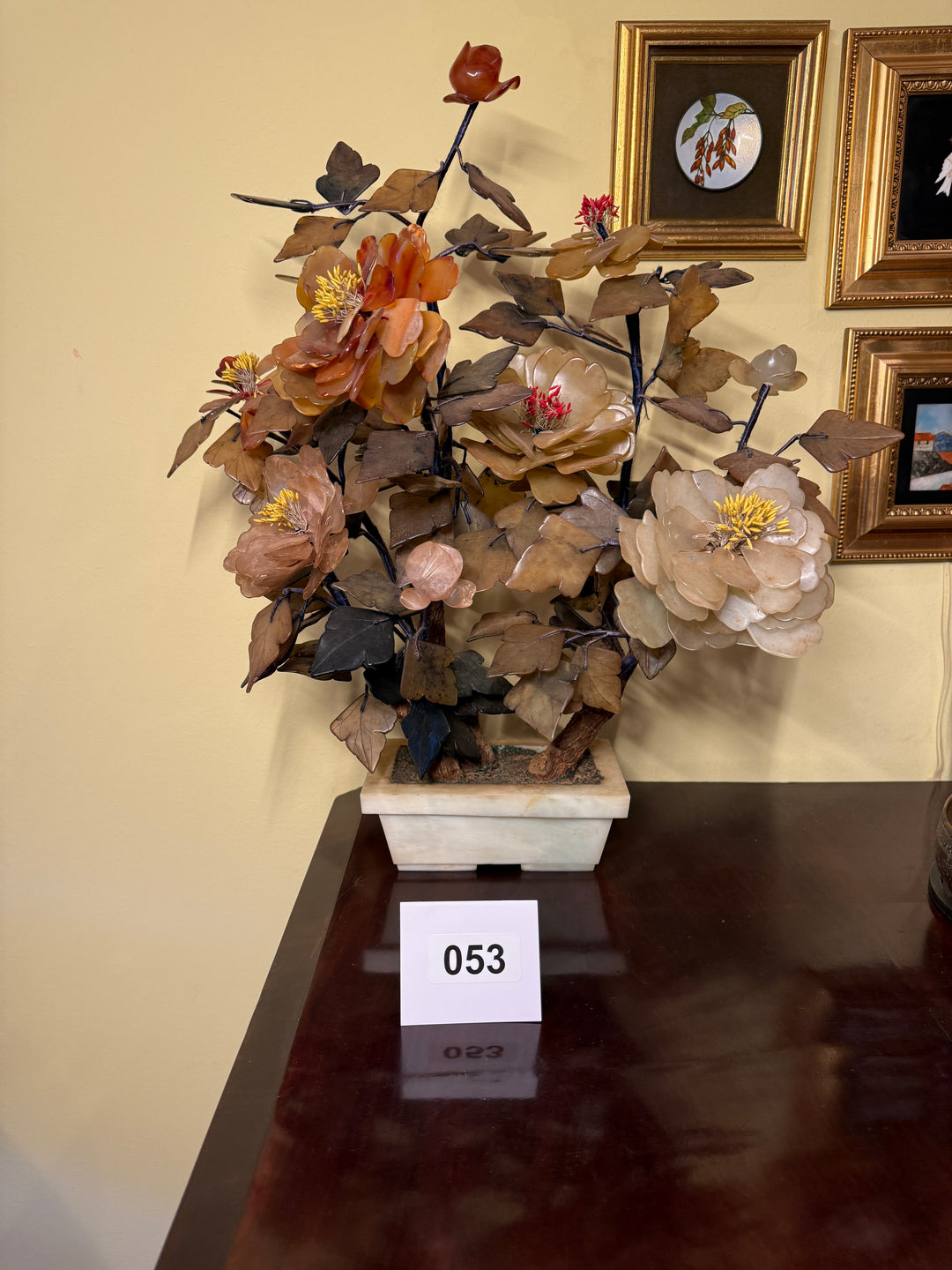 Chinese Bonsai Jade Tree Planter