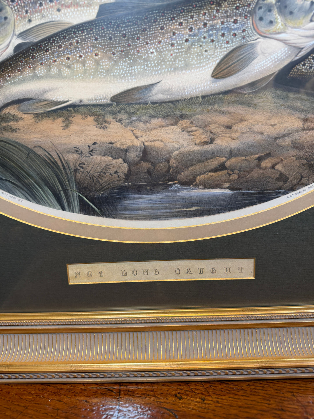 "Not Long Caught"