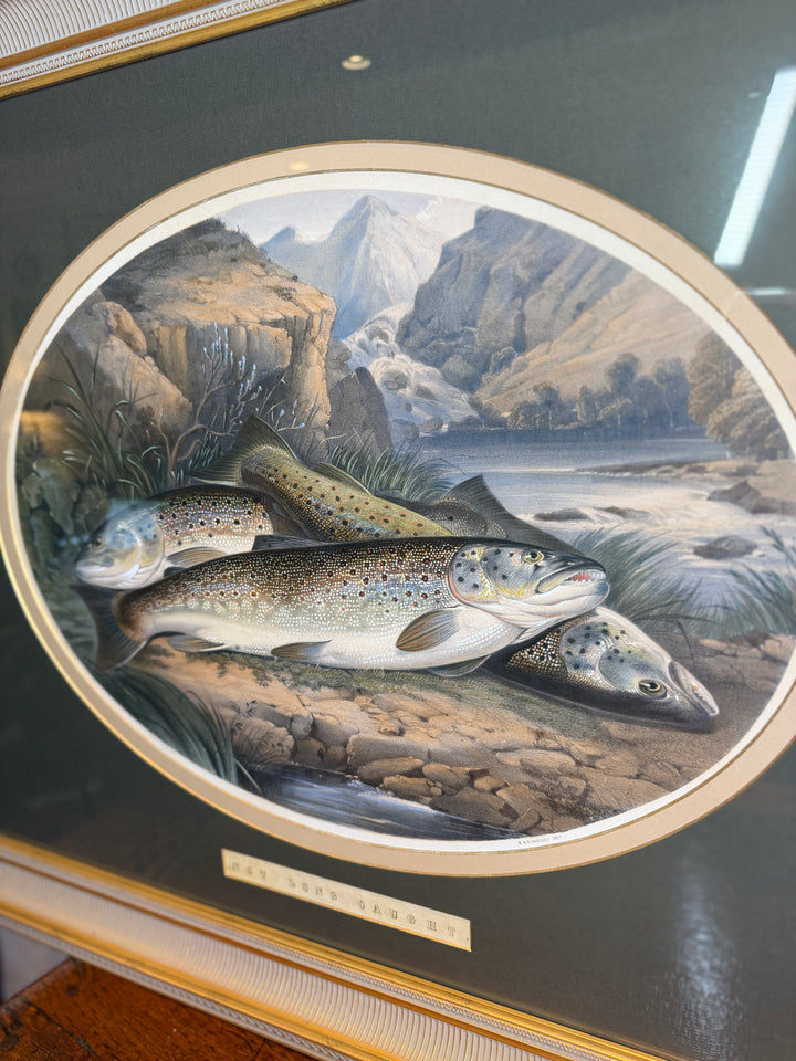 "Not Long Caught"
