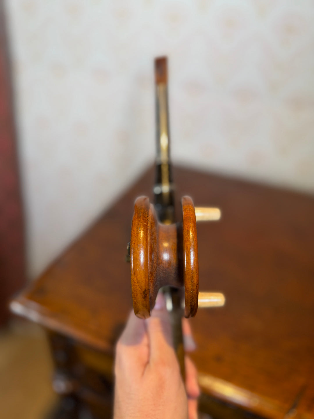 Antique Fishing Rod