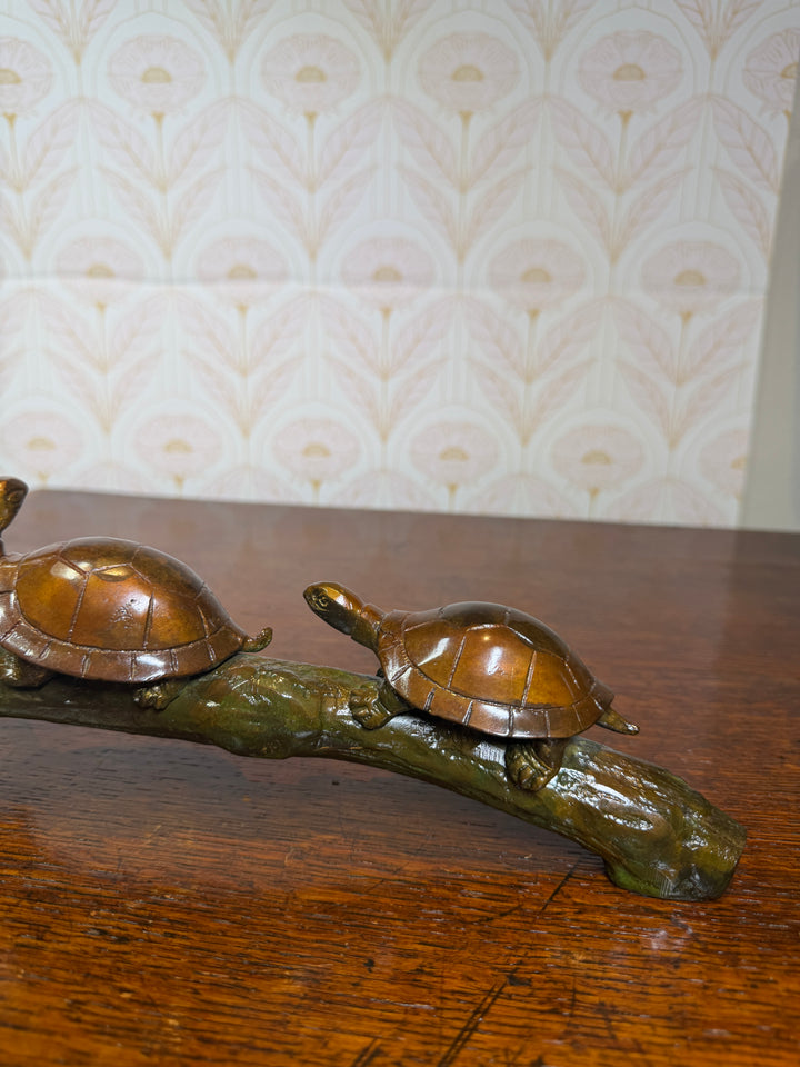 Turtles on a Log
