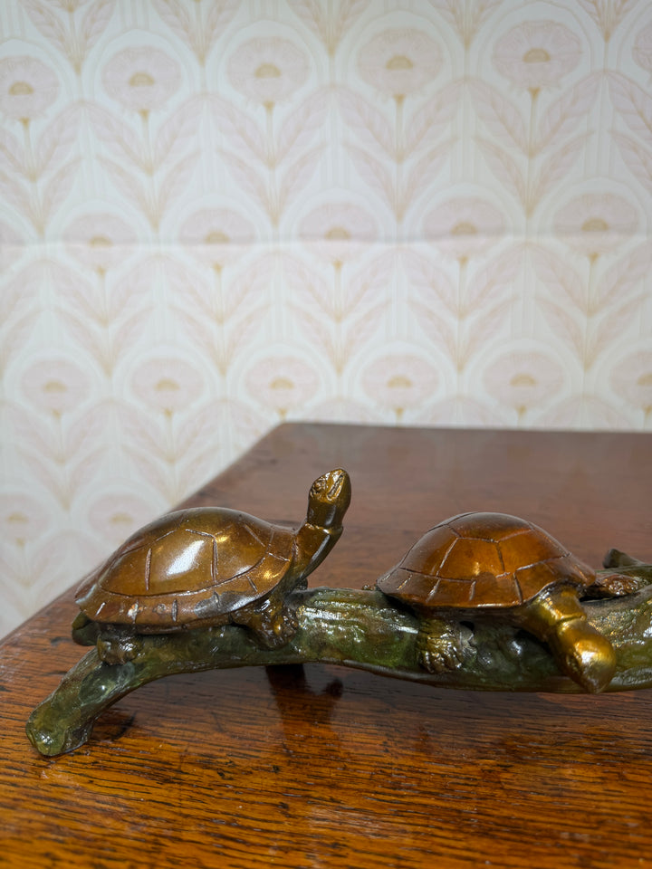 Turtles on a Log