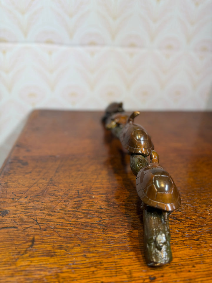 Turtles on a Log