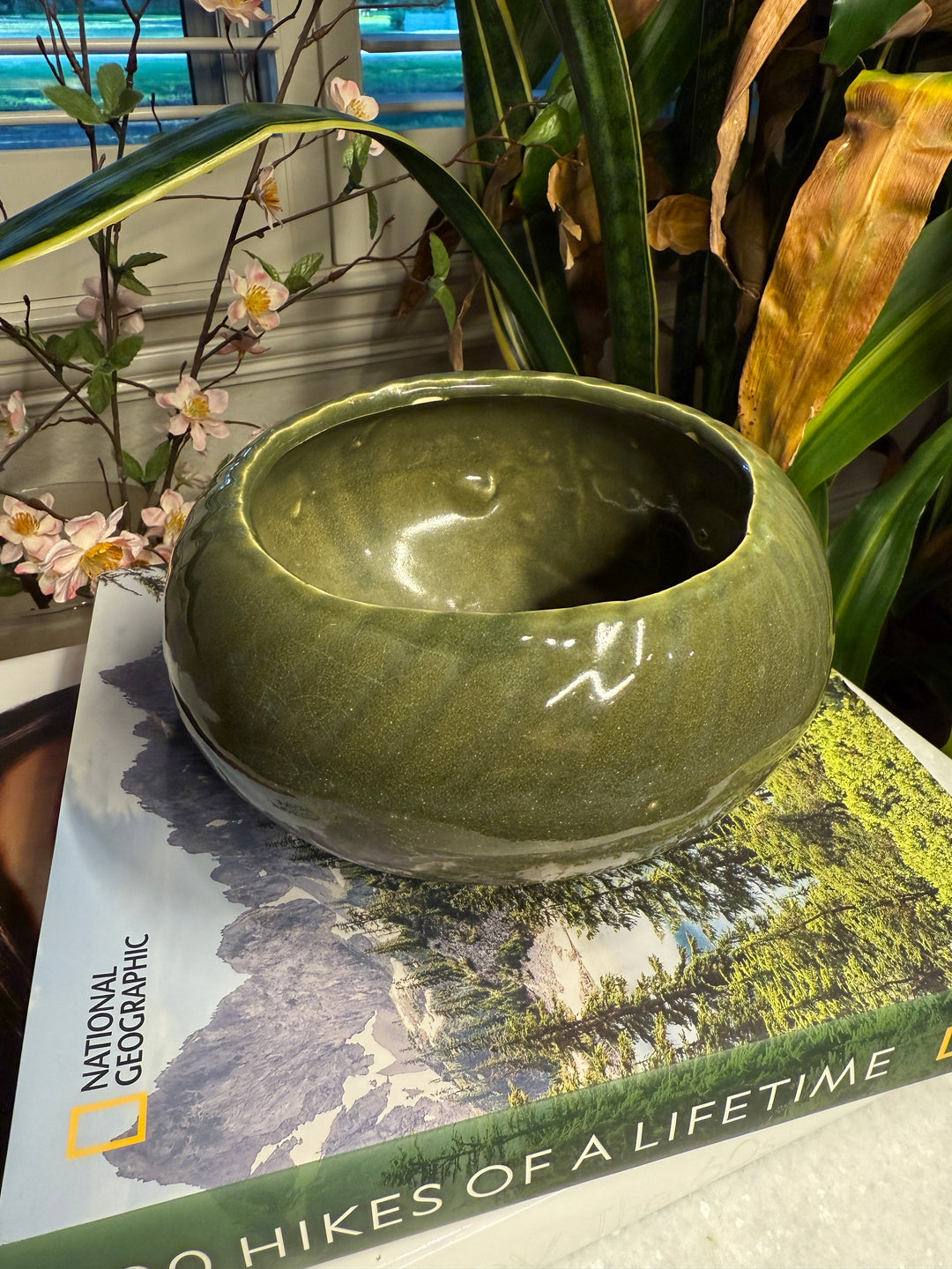 Green Ceramic Decorative Bowl