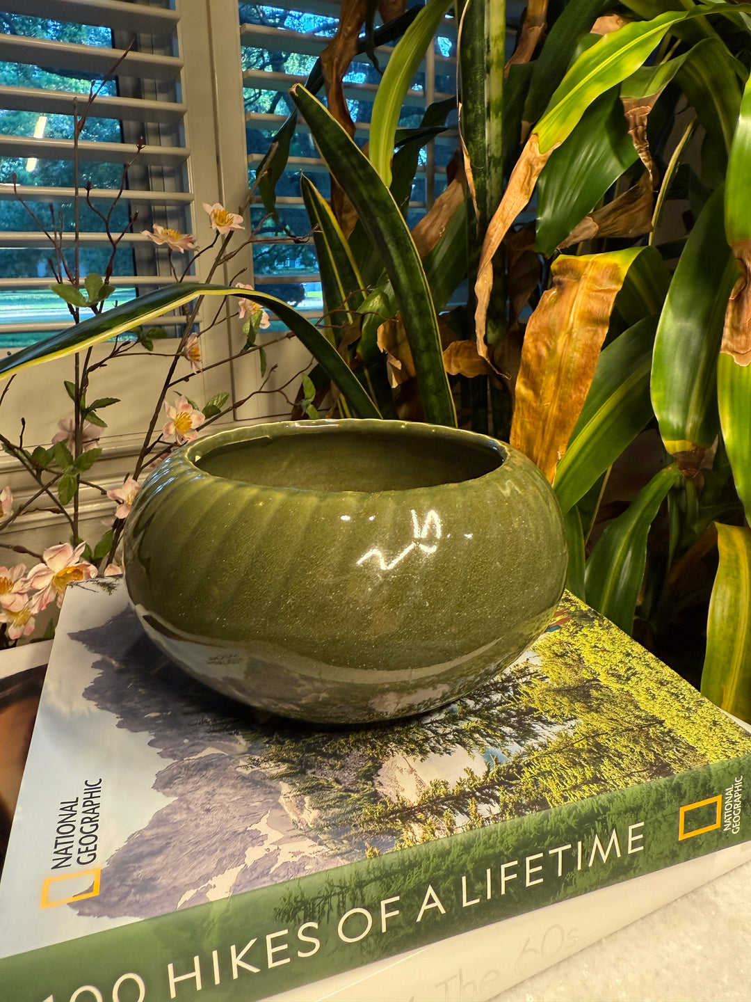Green Ceramic Decorative Bowl