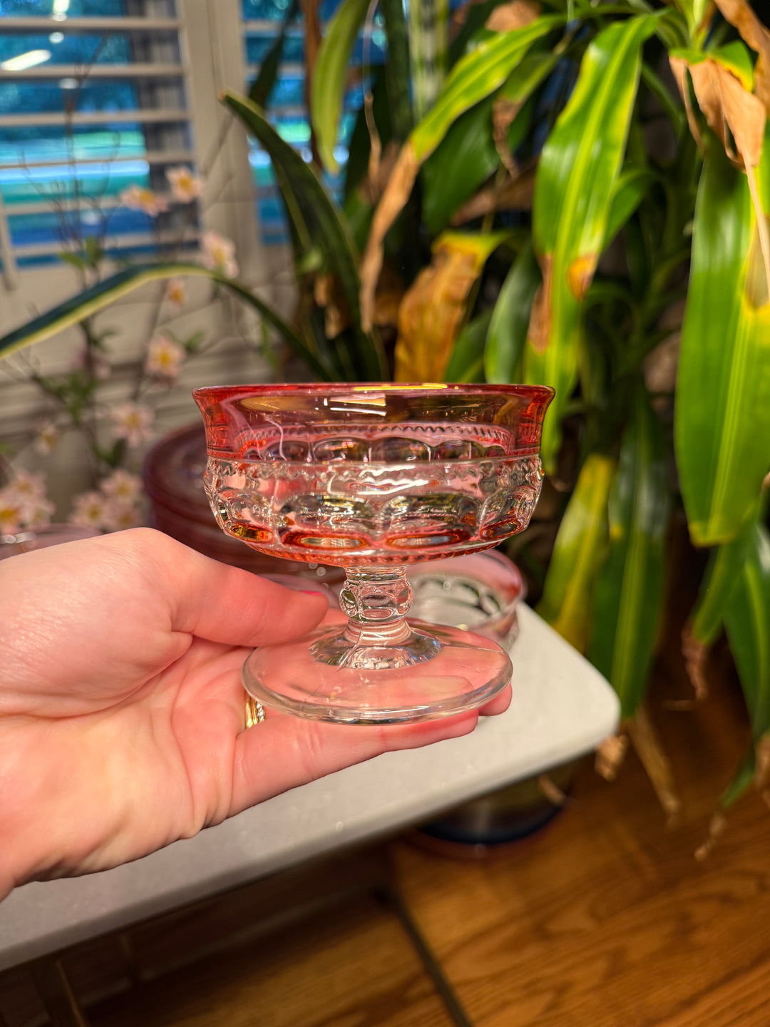 6 Tiffin King's Cranberry Sherbet Glasses and 6 Plates