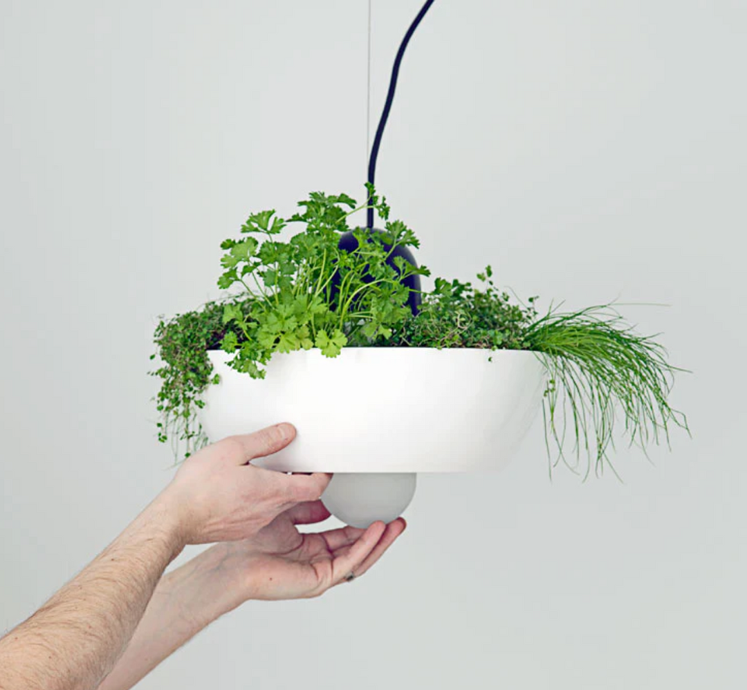 Black Well Planter Light (Please note that the light is black and not white)