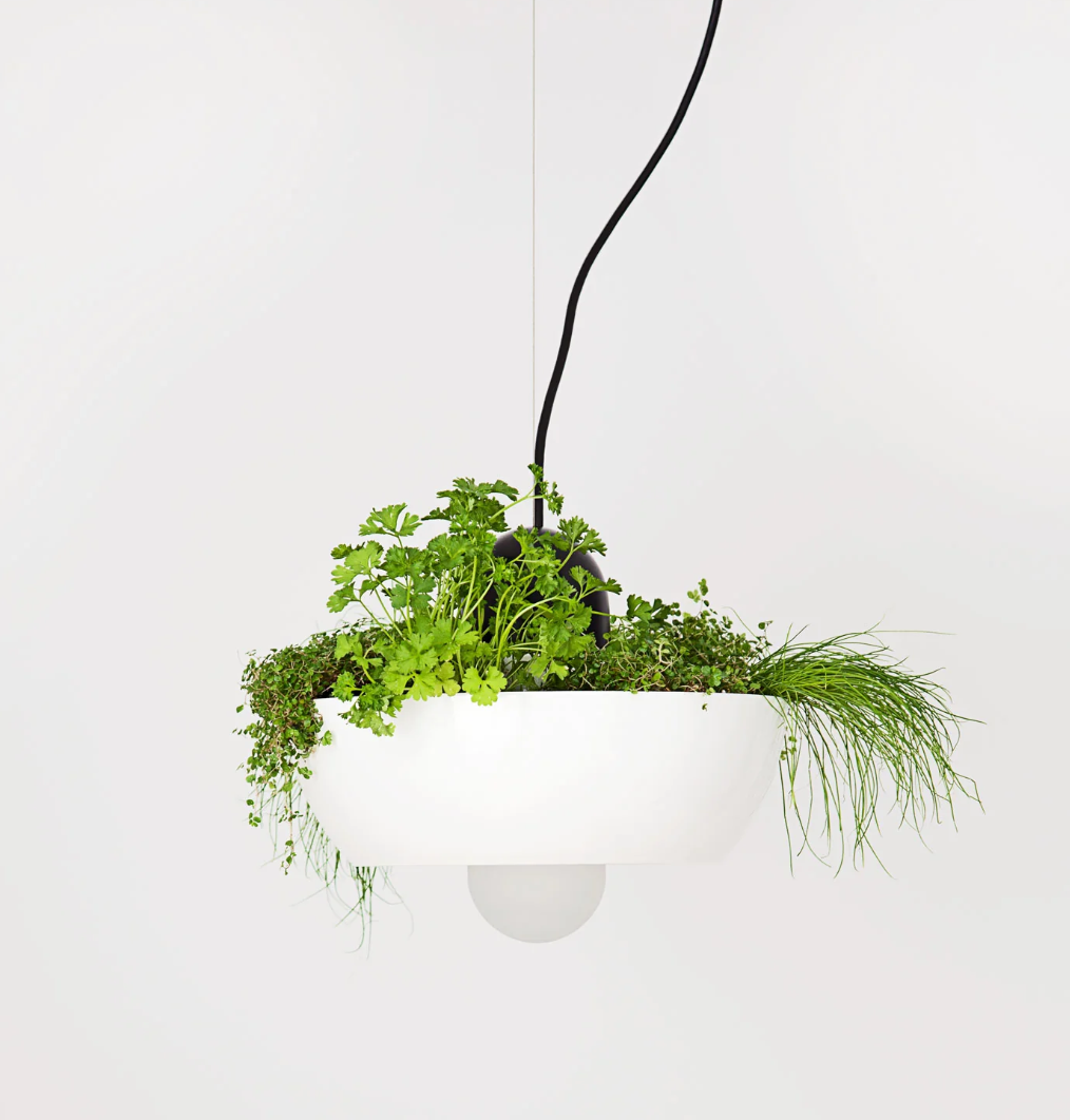Black Well Planter Light (Please note that the light is black and not white)