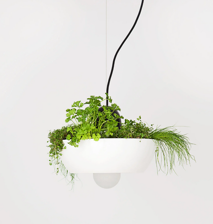 Black Well Planter Light (Please note that the light is black and not white)